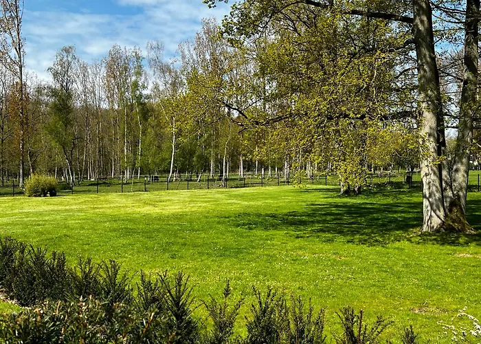 Maison Au Cœur De La Forêt *