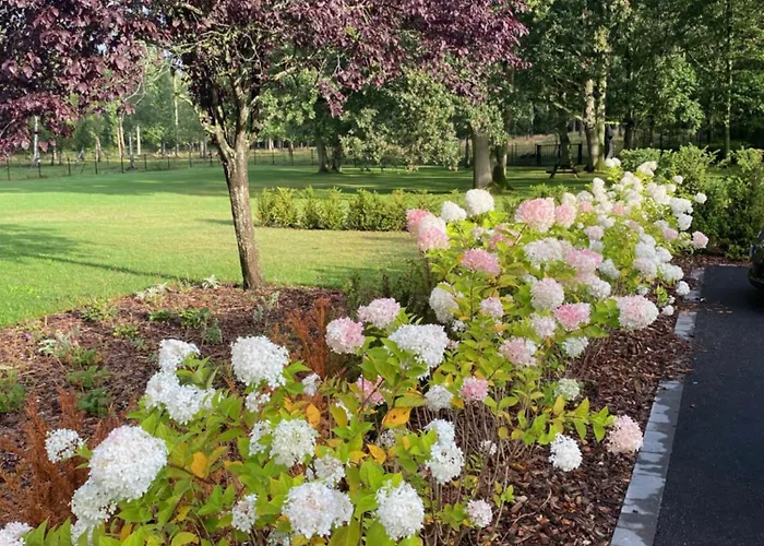 Hébergement de vacances Maison Au Cœur De La Forêt *