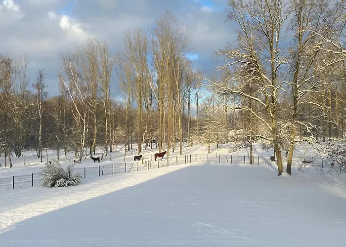 Maison Au Cœur De La Forêt Hébergement de vacances Raches