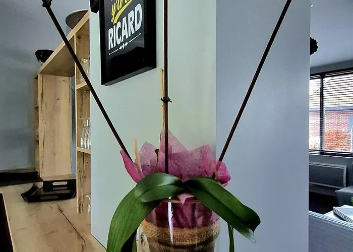 Maison Au Cœur De La Forêt Hébergement de vacances Raches